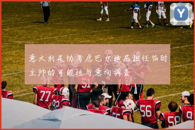 意大利足协考虑巴尔迪尼担任临时主帅的可能性与意向调查