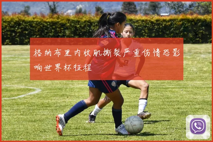 格纳布里内收肌撕裂严重伤情恐影响世界杯征程