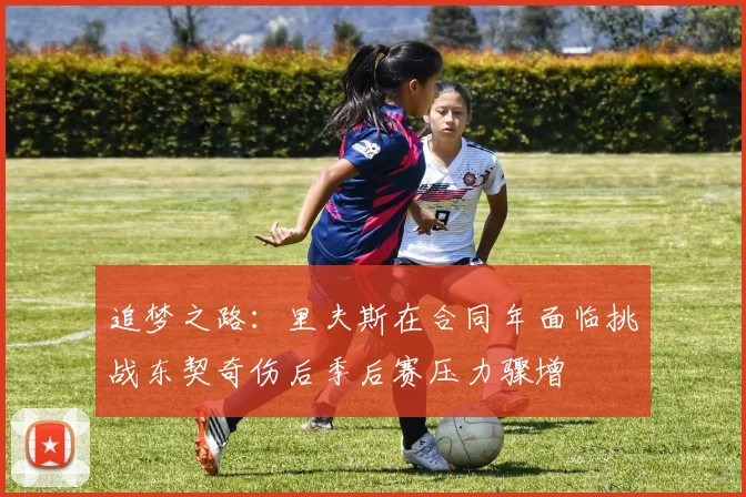 追梦之路：里夫斯在合同年面临挑战东契奇伤后季后赛压力骤增